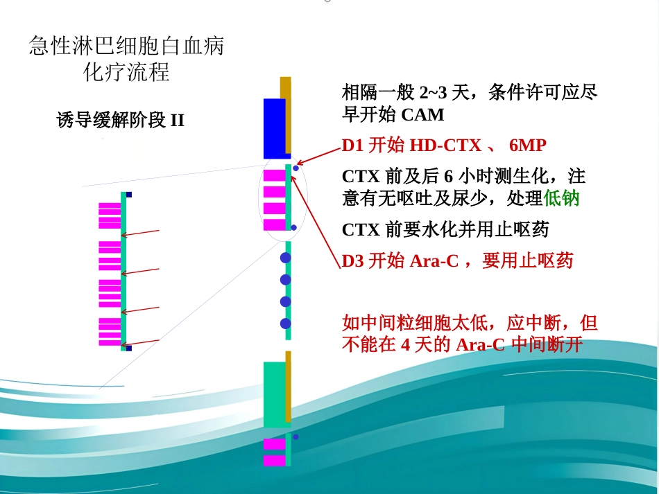 白血病化疗流程_第4页