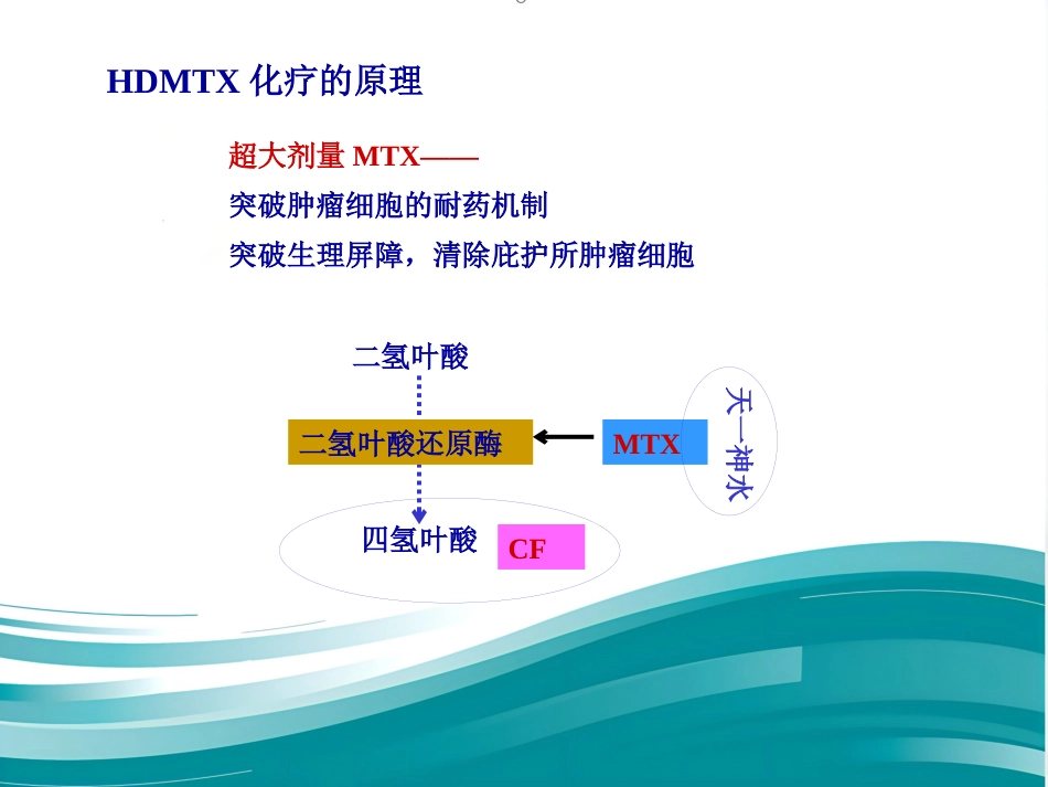 白血病化疗流程_第6页