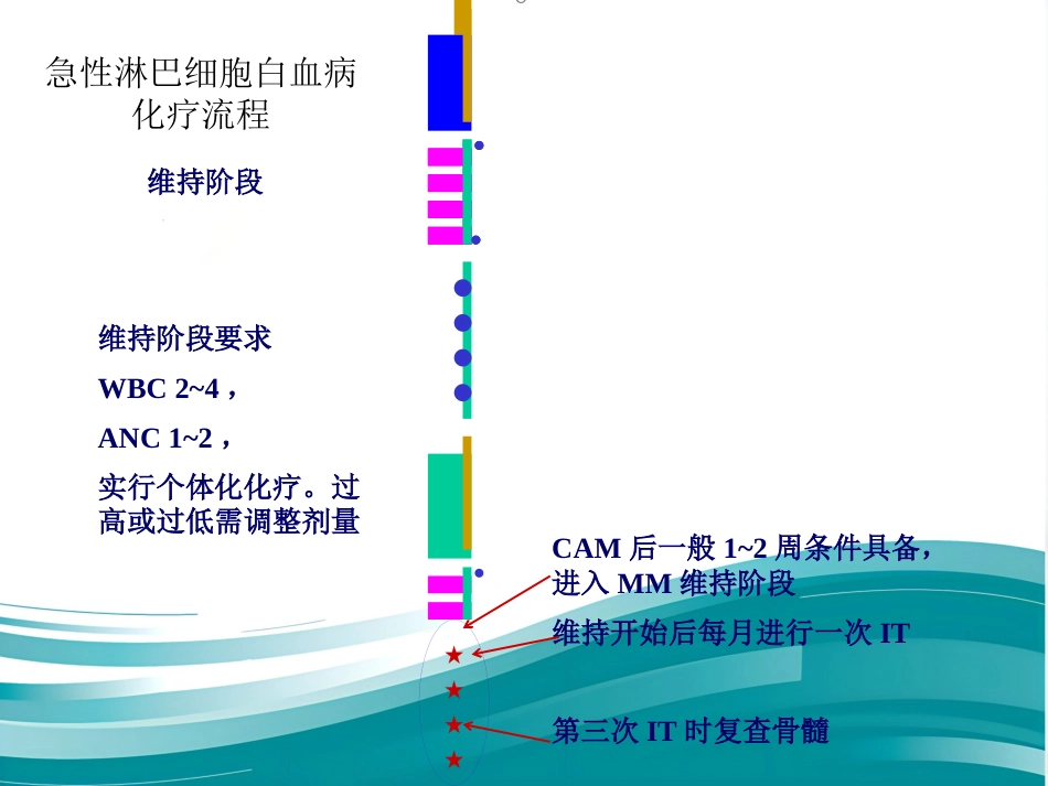 白血病化疗流程_第7页