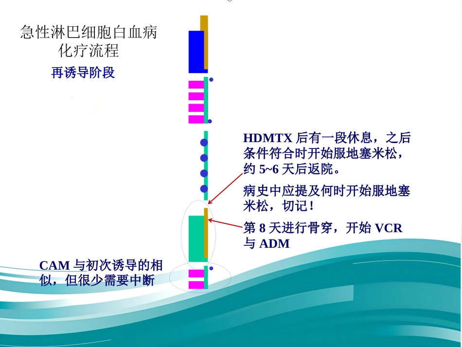 白血病化疗流程_第8页