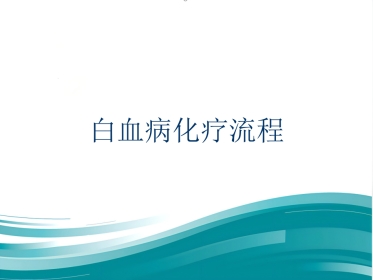 白血病化疗流程