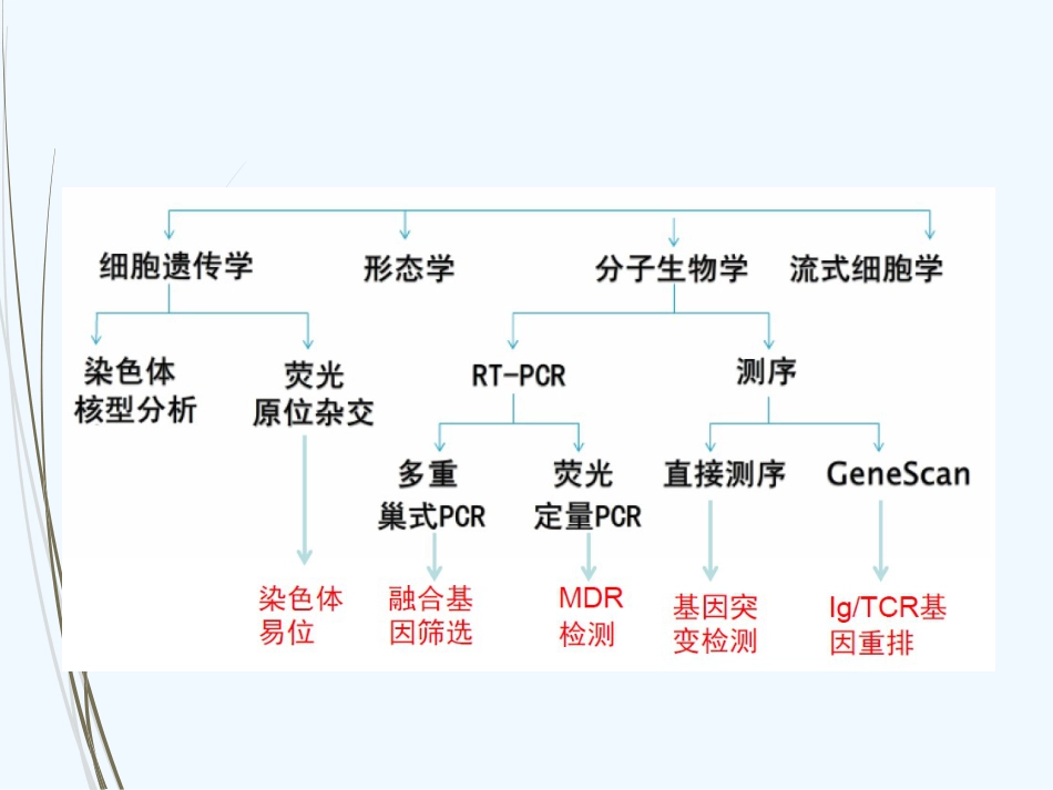 FISH检测在淋巴瘤、骨髓瘤个体化治疗中应用_第5页