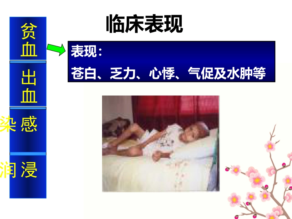 白血病的健康教育_第4页