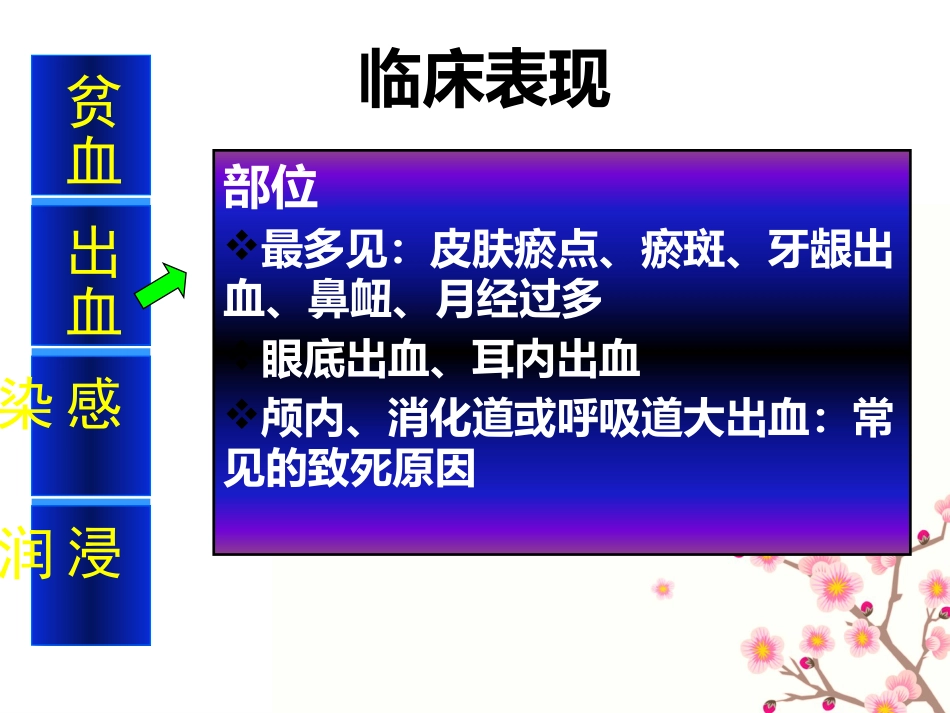 白血病的健康教育_第5页