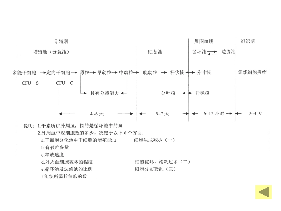 白细胞减少和粒细胞缺乏症_第6页
