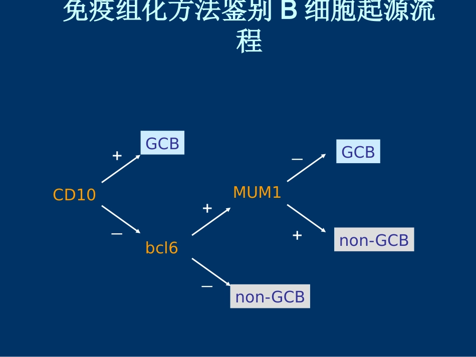 DLBCL FL 恶性淋巴瘤_第14页