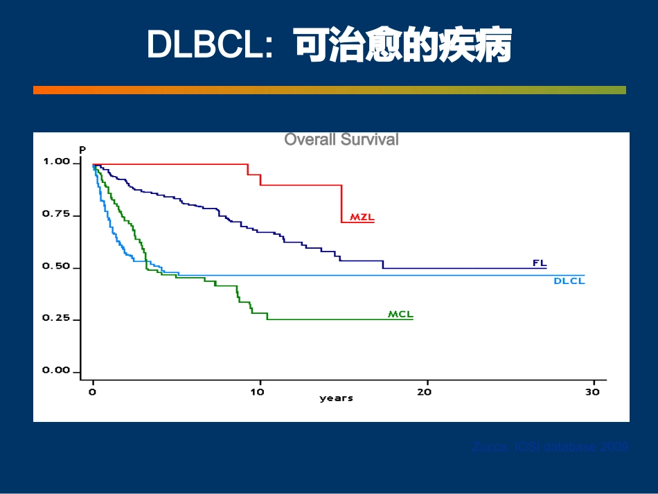 DLBCL FL 恶性淋巴瘤_第15页
