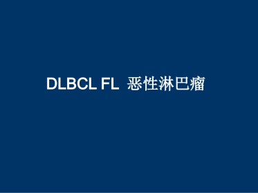 DLBCL FL 恶性淋巴瘤