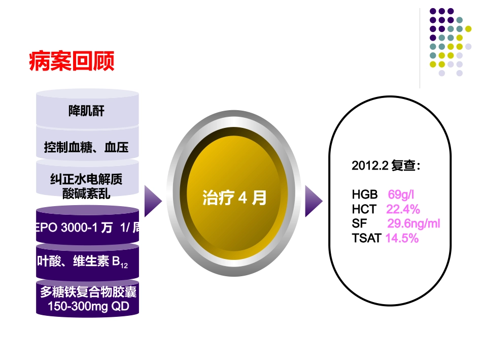 CKD-ND肾性贫血的铁剂治疗_第3页