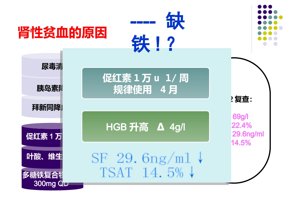 CKD-ND肾性贫血的铁剂治疗_第7页