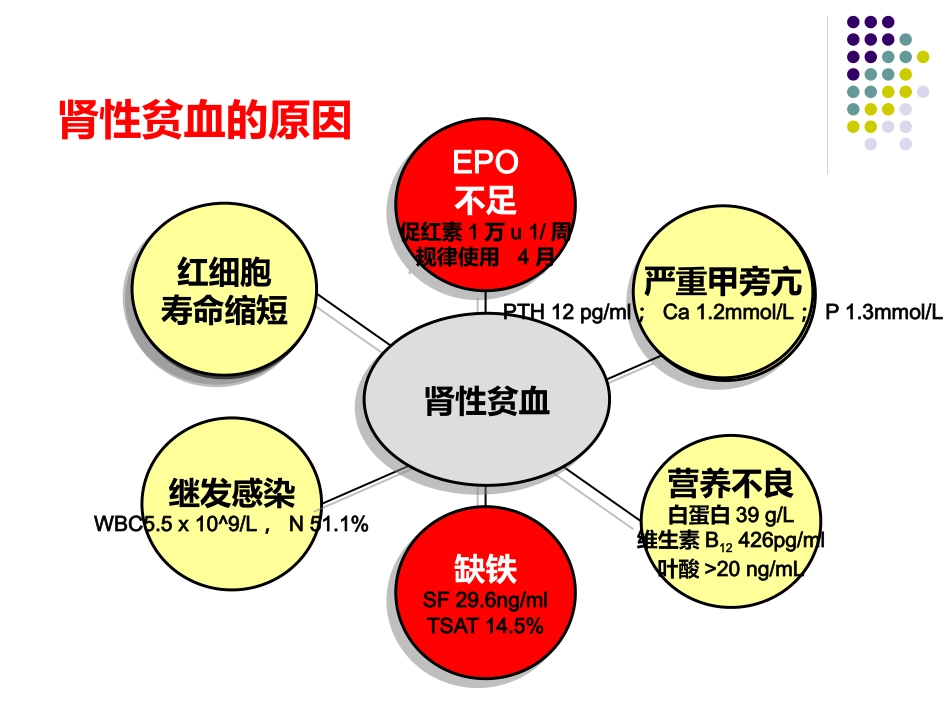 CKD-ND肾性贫血的铁剂治疗_第8页