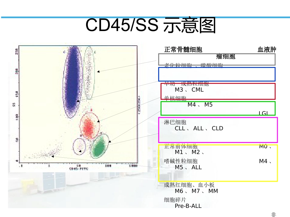 白血病淋巴瘤免疫分型_第12页