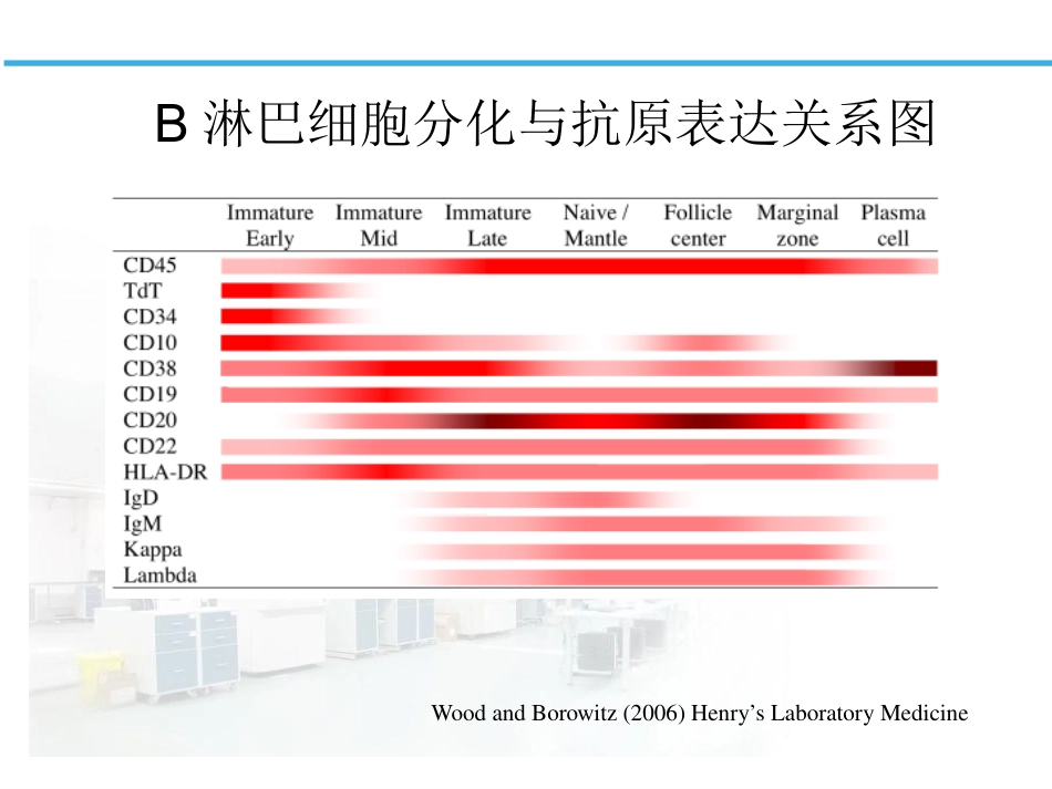白血病淋巴瘤免疫分型_第13页