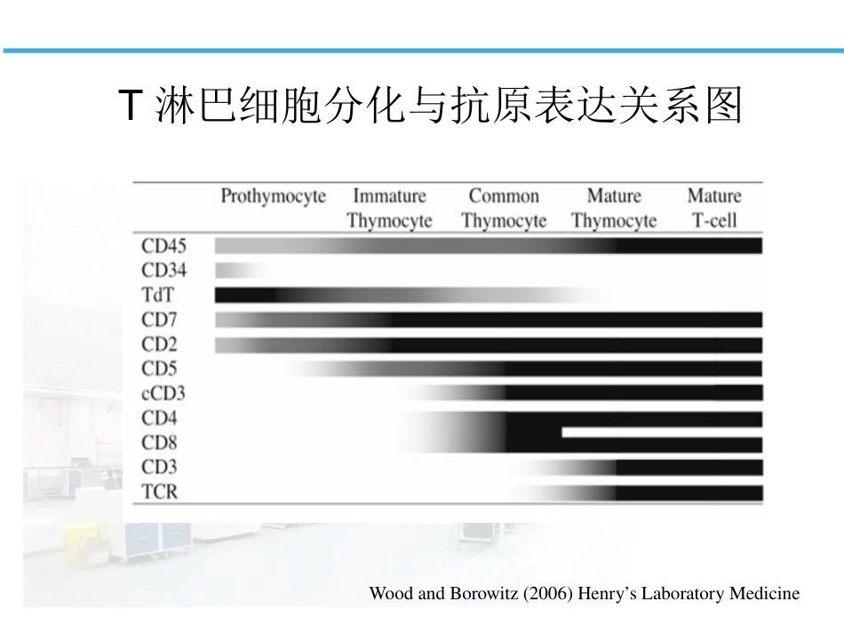 白血病淋巴瘤免疫分型_第14页