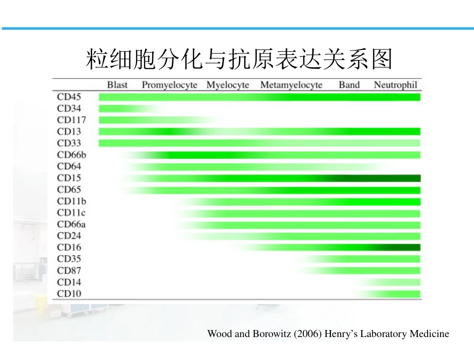 白血病淋巴瘤免疫分型_第15页