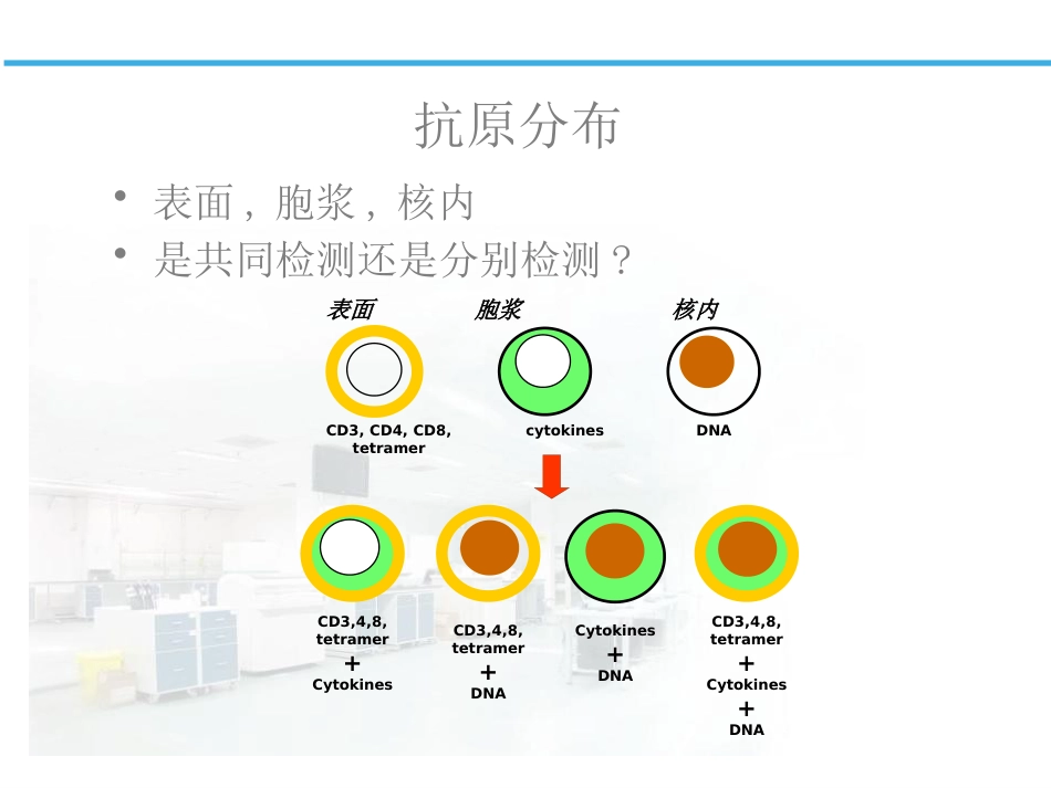 白血病淋巴瘤免疫分型_第5页