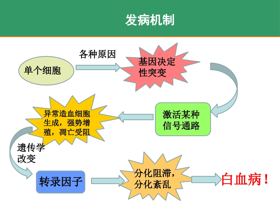 白血病_第6页