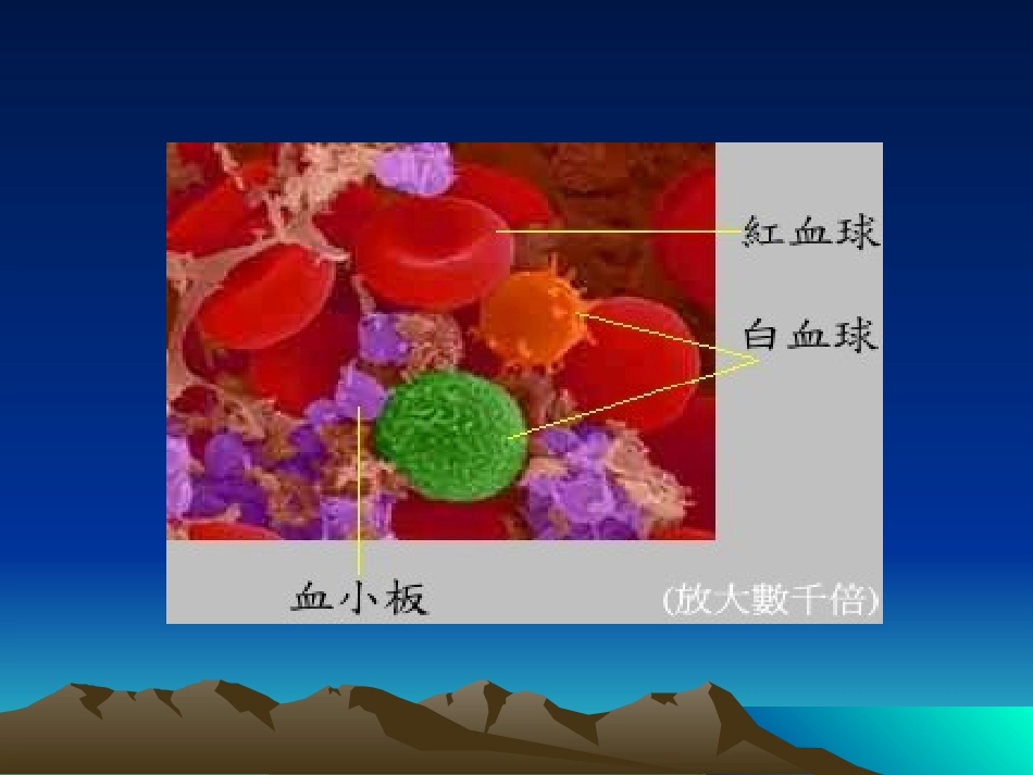 白细胞减少症及粒细胞缺乏症_第2页
