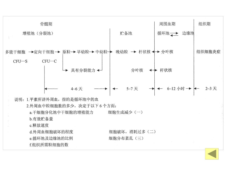 白细胞减少和粒细胞缺乏症-教学_第6页