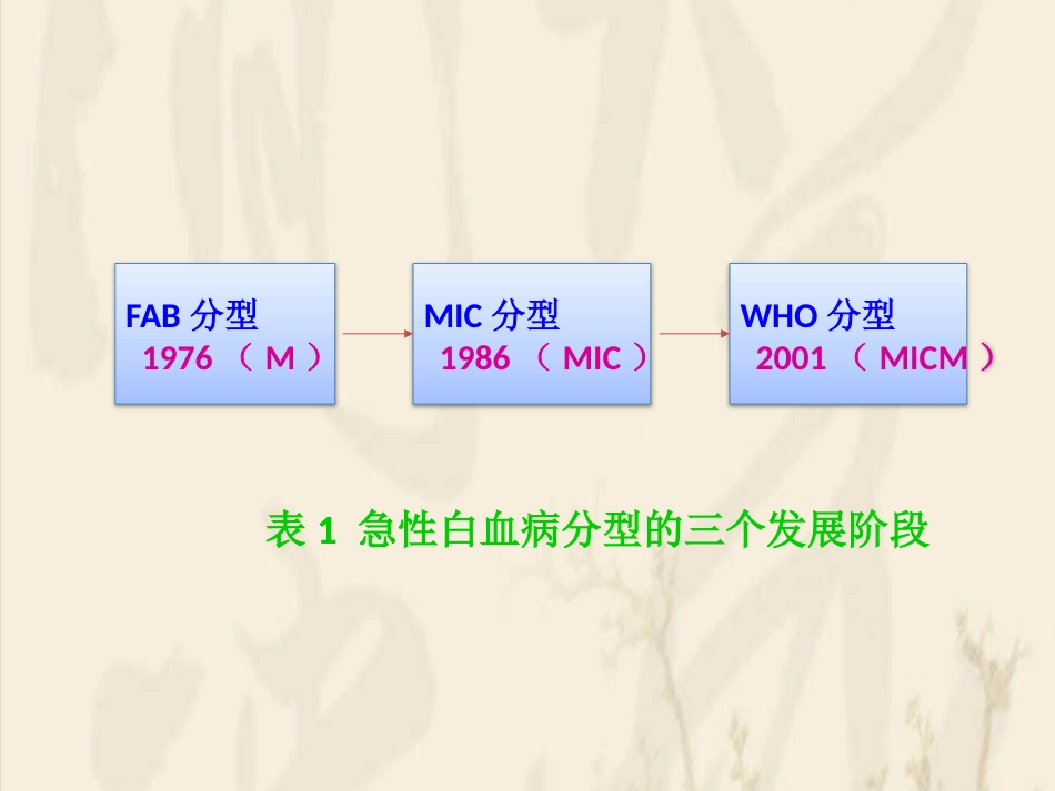 白血病的分型_第4页