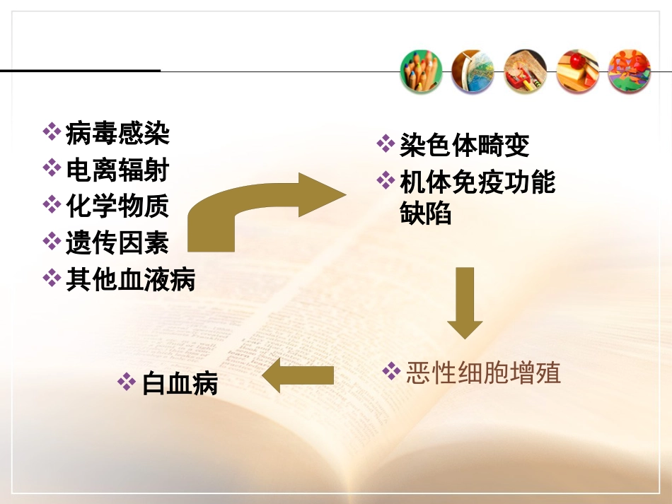 白血病基本知识_第14页