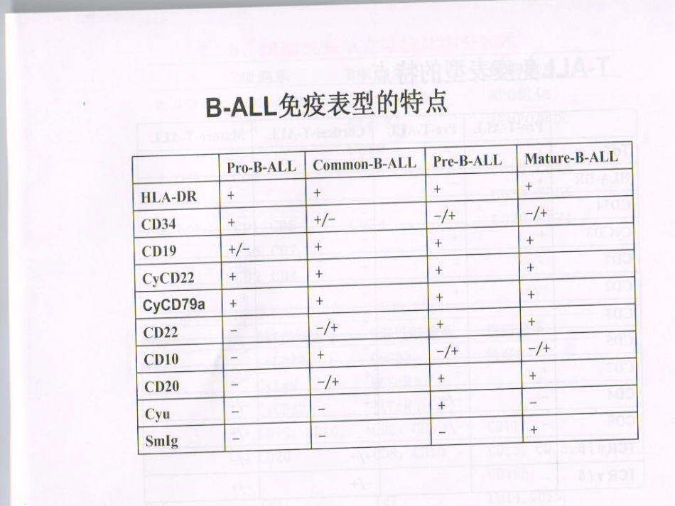 白血病免疫分型_第10页