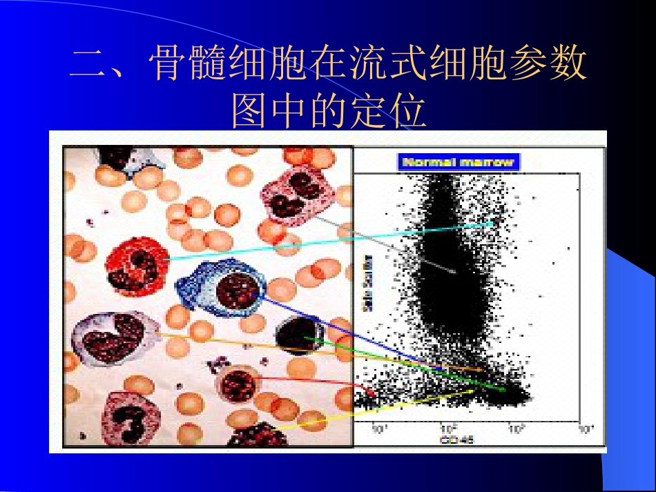 白血病免疫分型_第3页