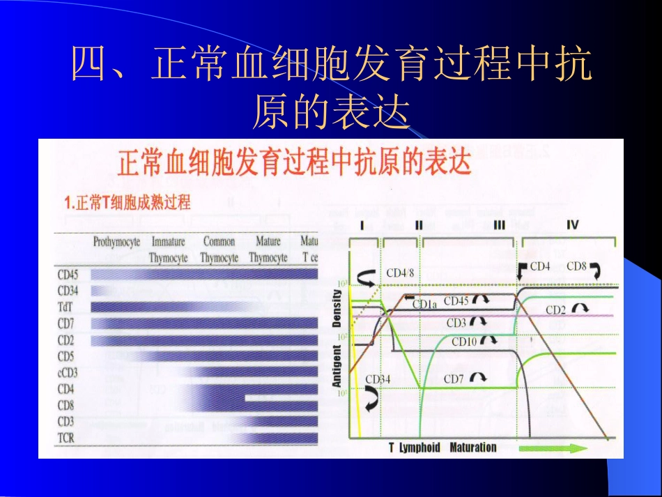 白血病免疫分型_第5页