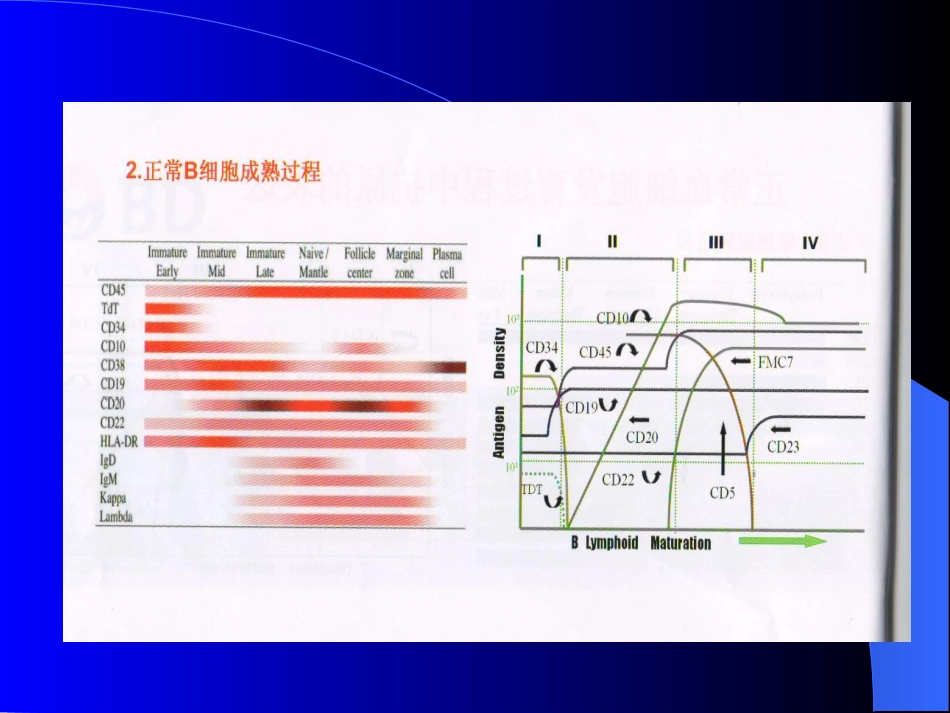 白血病免疫分型_第6页