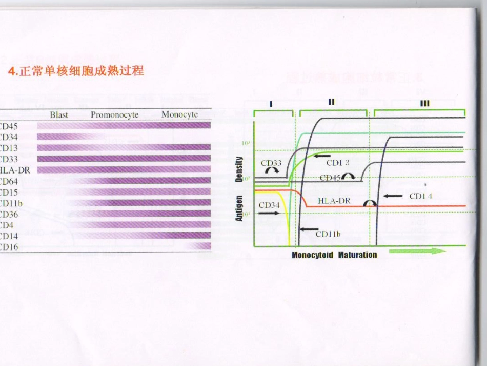 白血病免疫分型_第8页