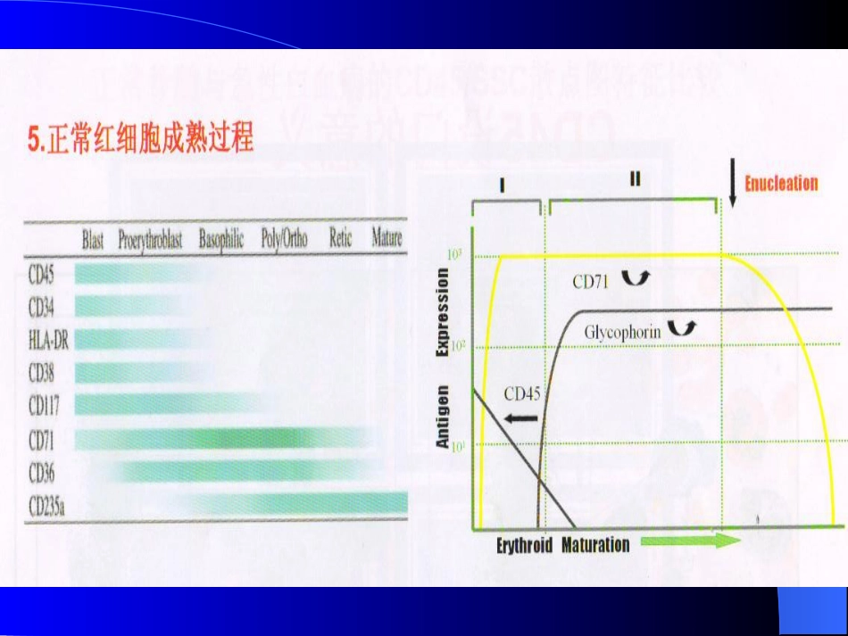 白血病免疫分型_第9页