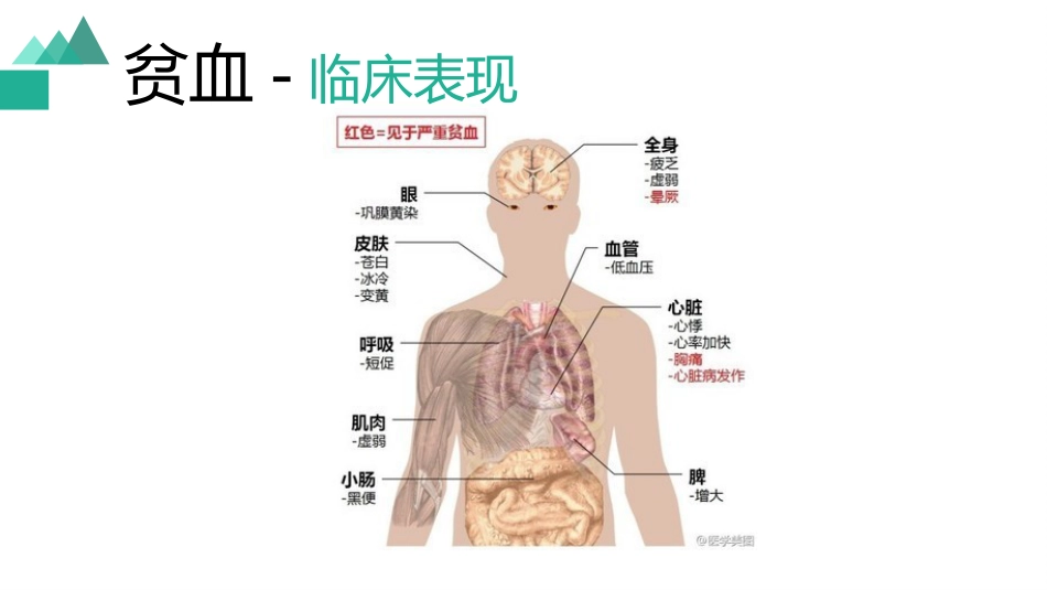 白血病临床表现_第3页
