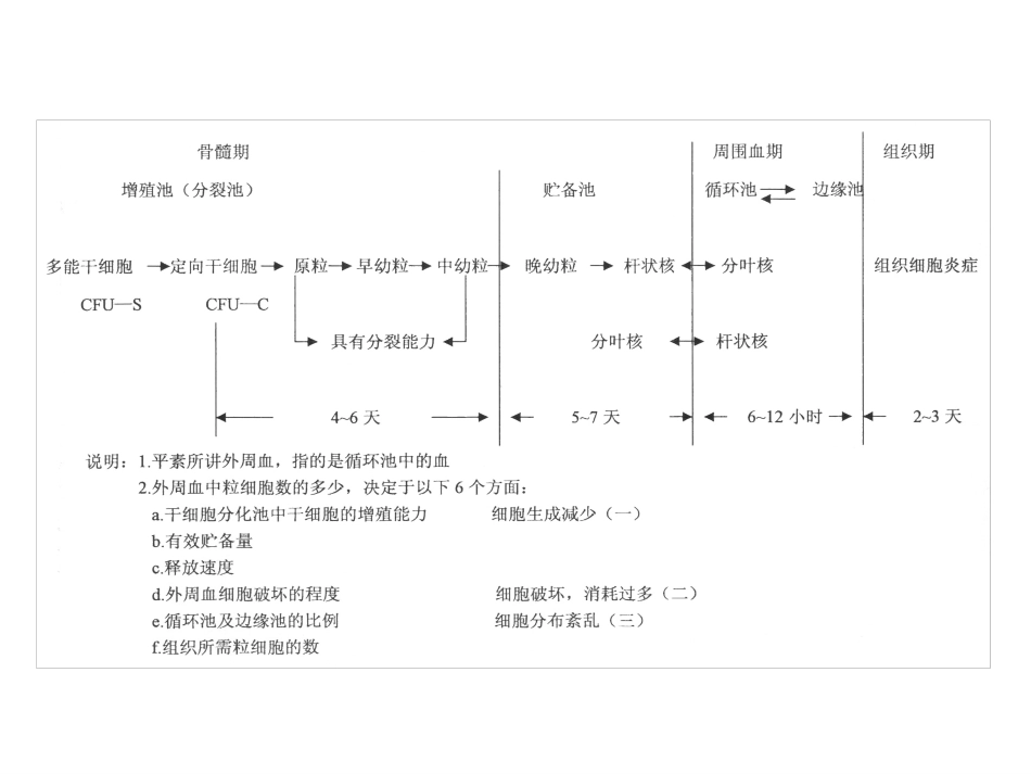 白细胞减少症和粒细胞缺乏_第5页