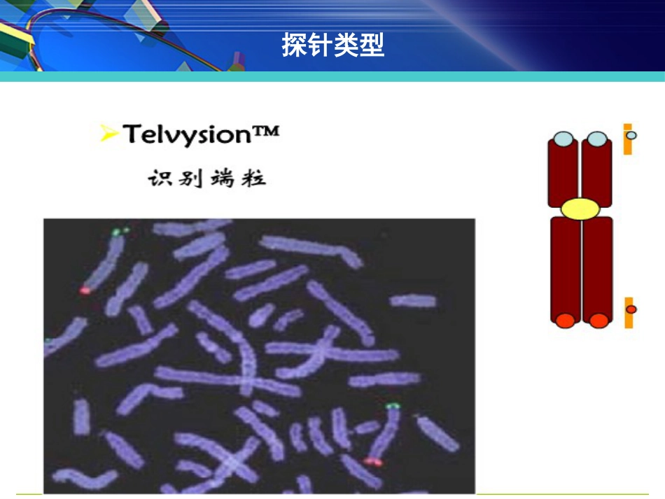 FISH在淋巴瘤诊治中的应用_第10页