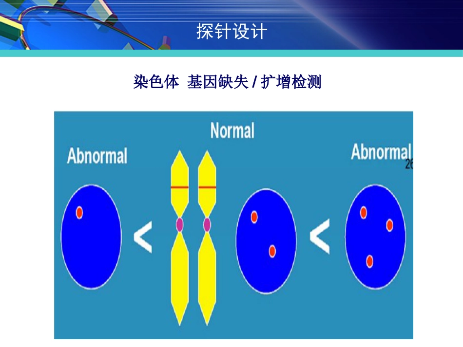 FISH在淋巴瘤诊治中的应用_第11页