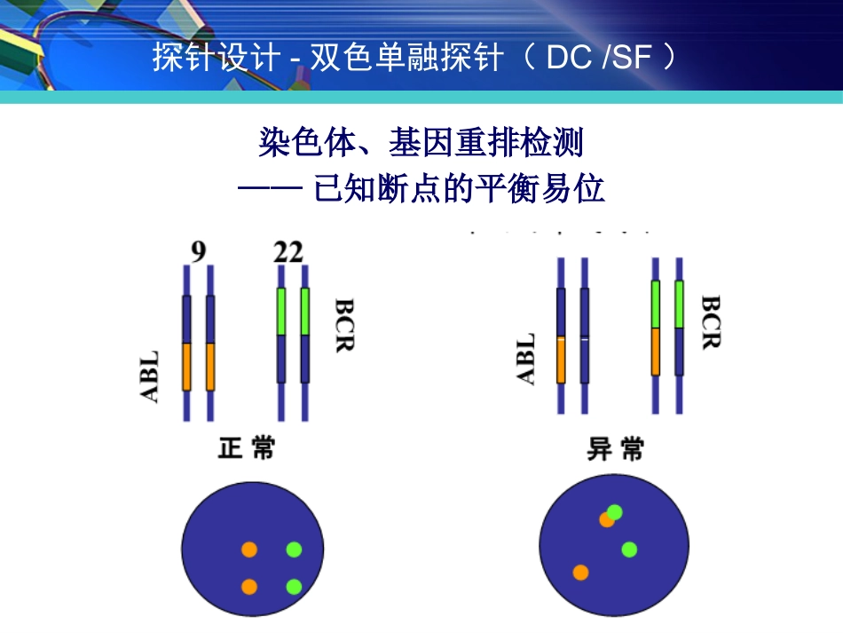 FISH在淋巴瘤诊治中的应用_第12页
