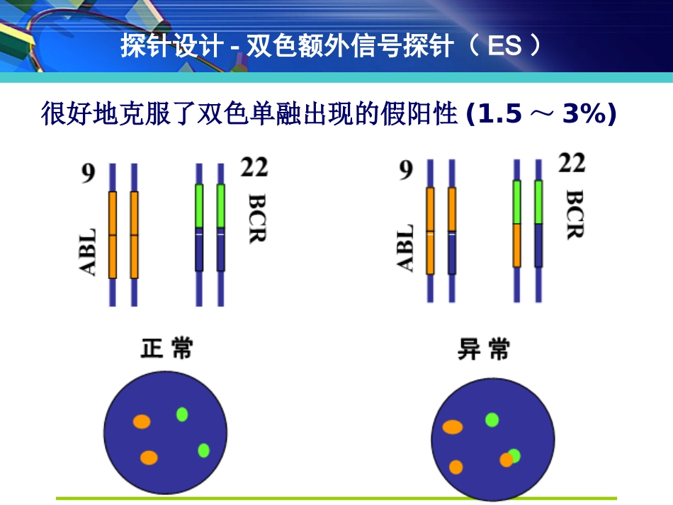 FISH在淋巴瘤诊治中的应用_第13页