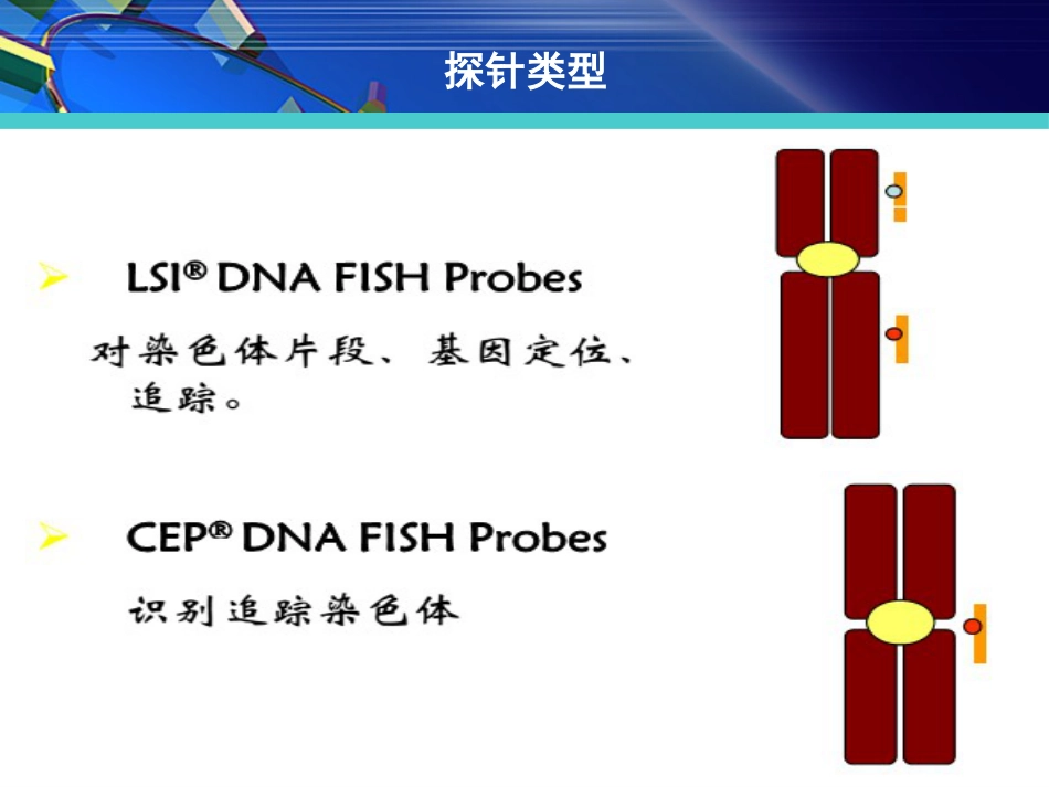FISH在淋巴瘤诊治中的应用_第9页