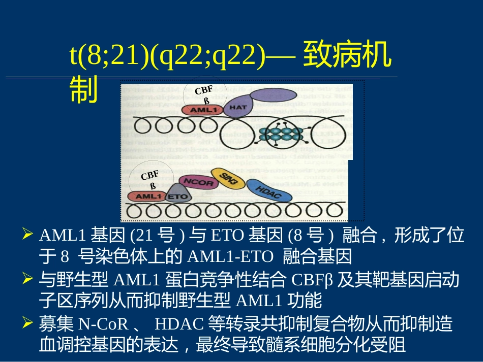 白血病分子遗传学进展_第13页