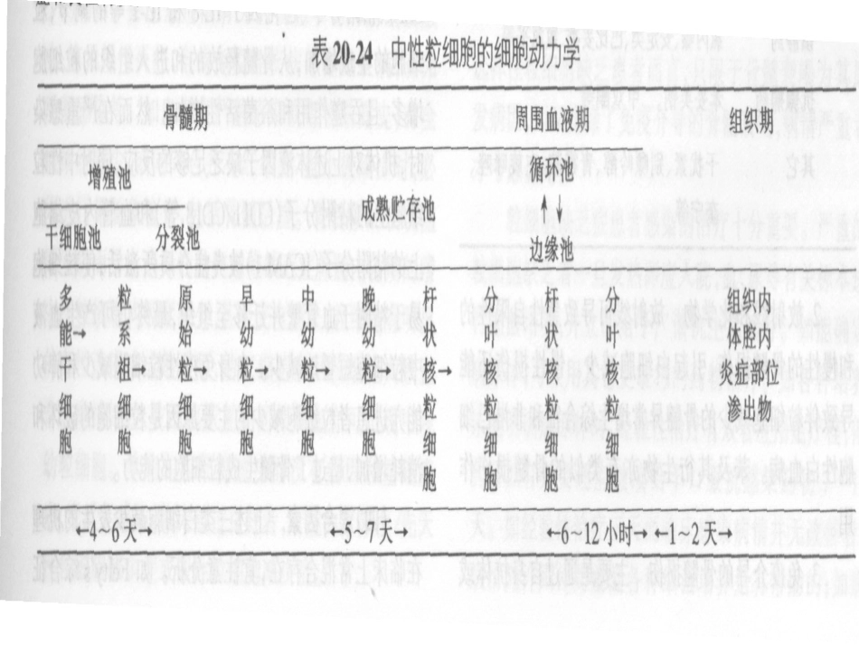 白细胞减少和粒细胞缺乏症(1)_第6页