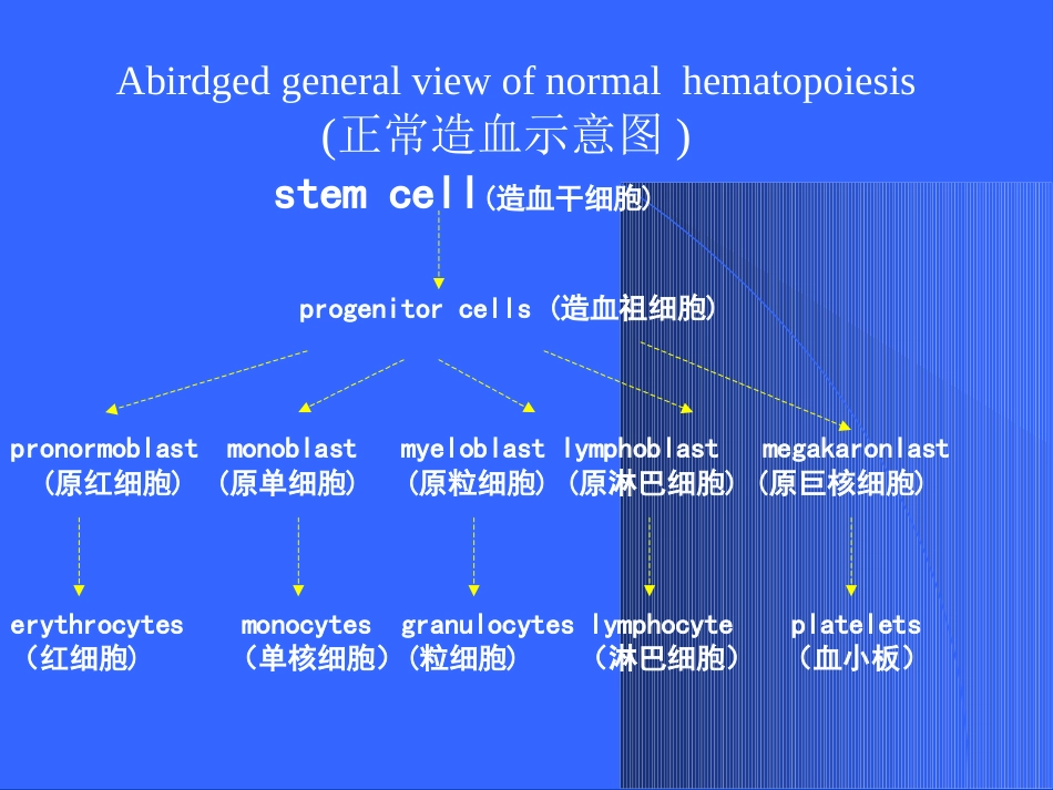 白血病(2)_第3页