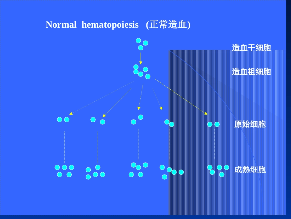 白血病(2)_第4页