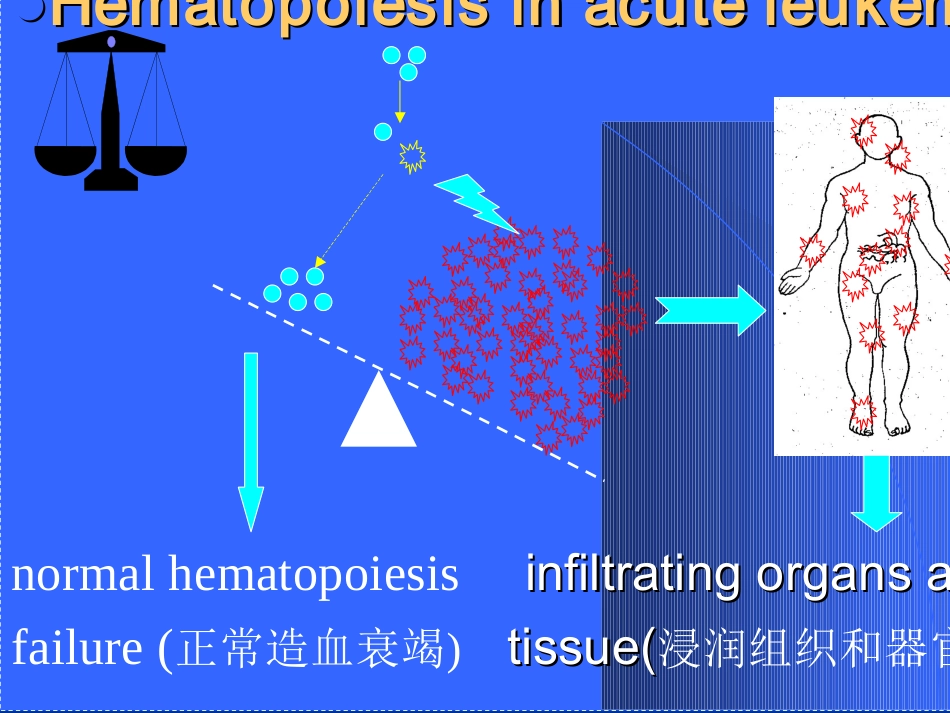 白血病(2)_第7页
