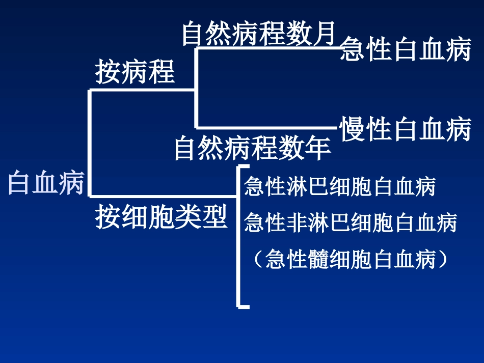 白血病(2)_第9页