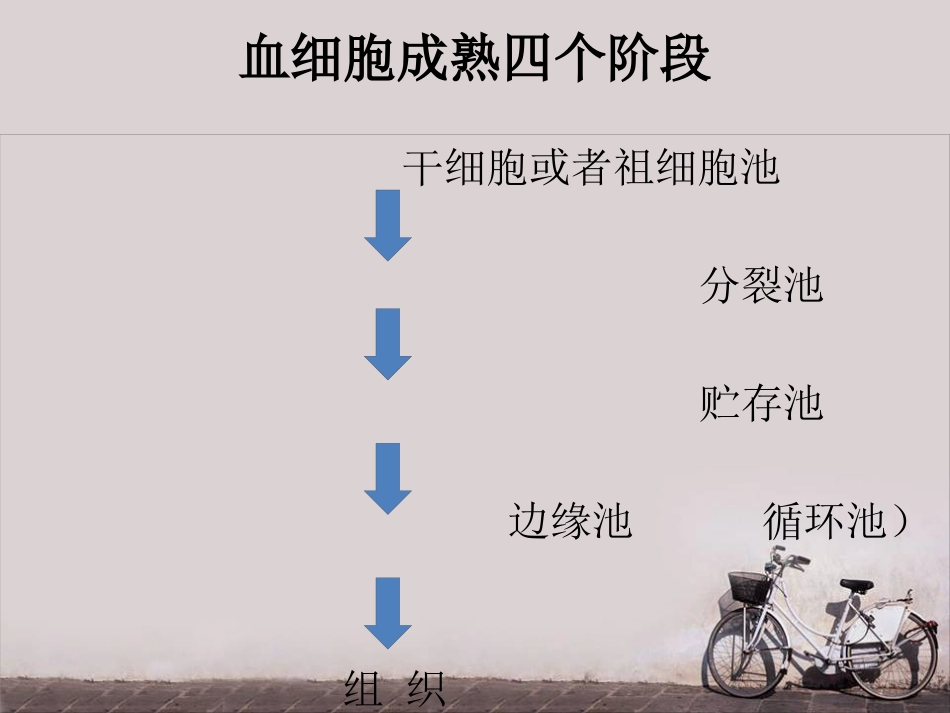 白细胞减少和粒细胞缺乏症(2)_第11页
