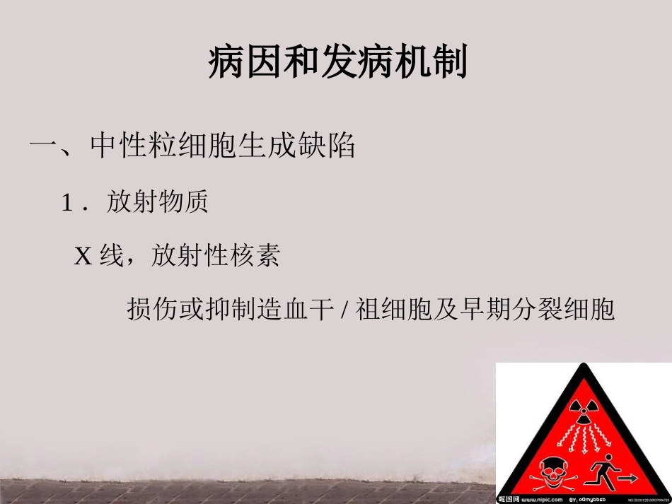 白细胞减少和粒细胞缺乏症(2)_第12页