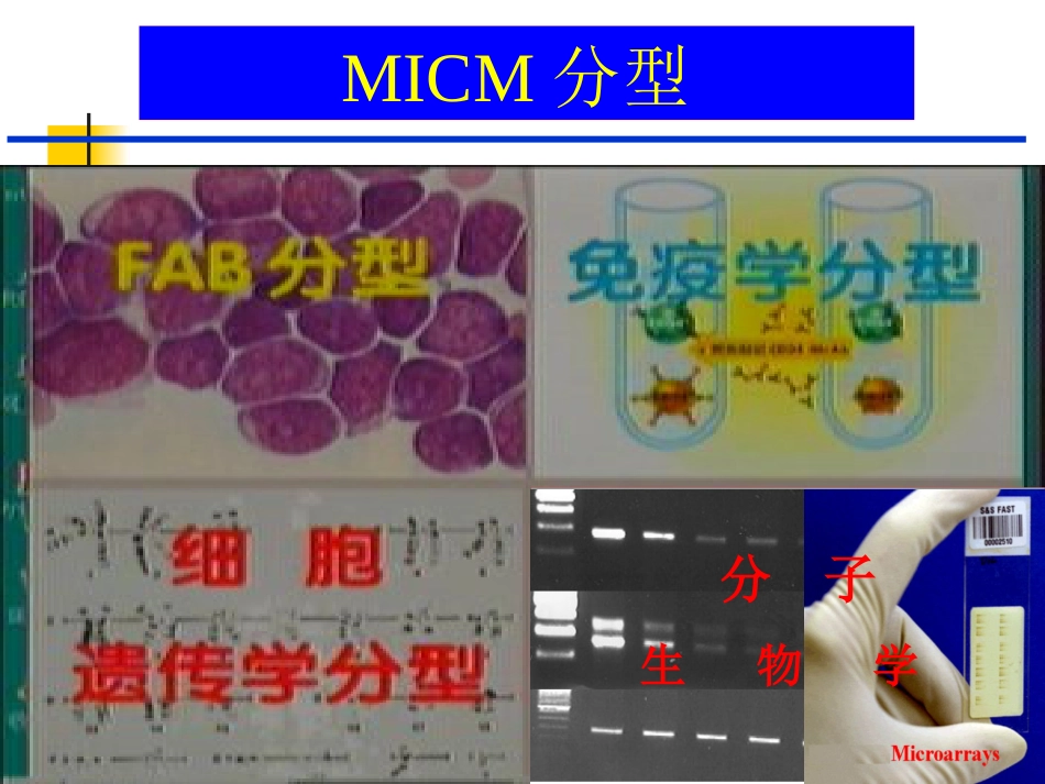白血病(3)_第12页