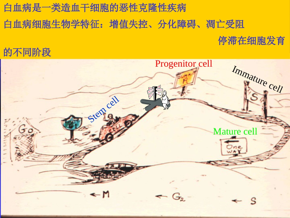 白血病(3)_第3页
