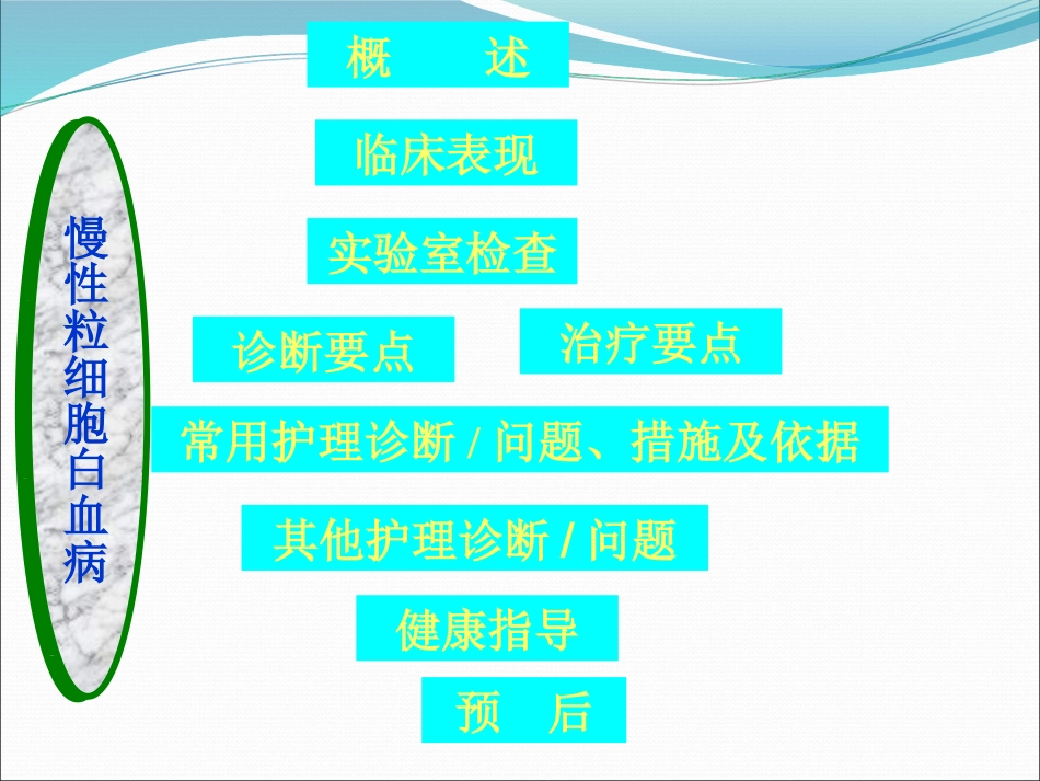 白血病(4)_第12页