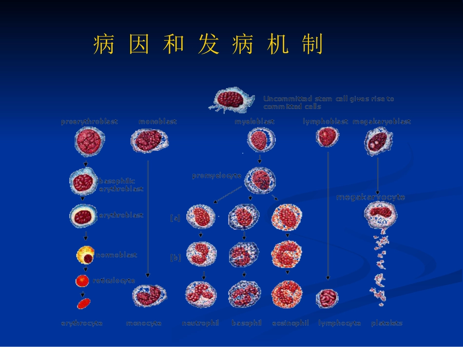 白细胞减少和粒细胞缺乏症_5_第3页